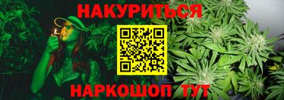 сатива Коммунар