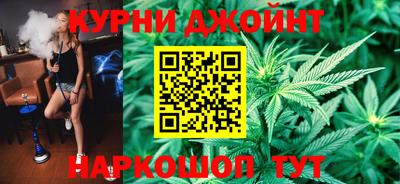 сатива Коммунар