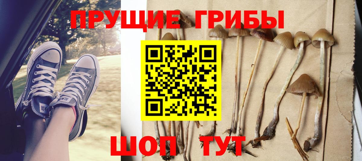 Новокуйбышевск  Псилоцибиновые грибы MAGIC MUSHROOMS  Вход с VPN 