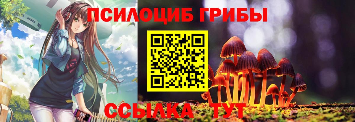 Галлюциногенные грибы Cubensis Новокуйбышевск